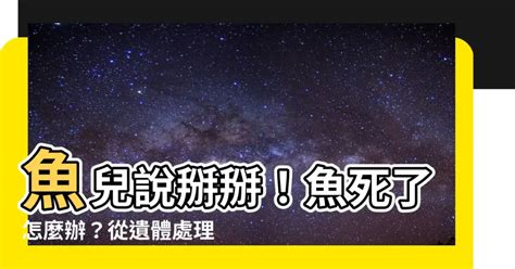 魚死了怎麼辦|【魚死了怎麼辦】魚兒説掰掰！魚死了怎麼辦？從遺體。